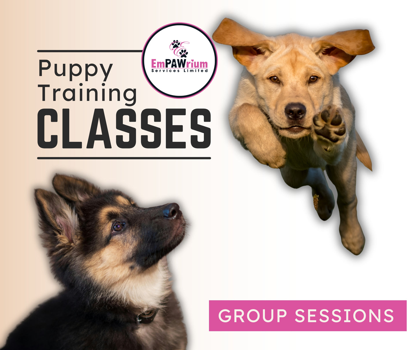 Puppy Classes (4 Week Course)