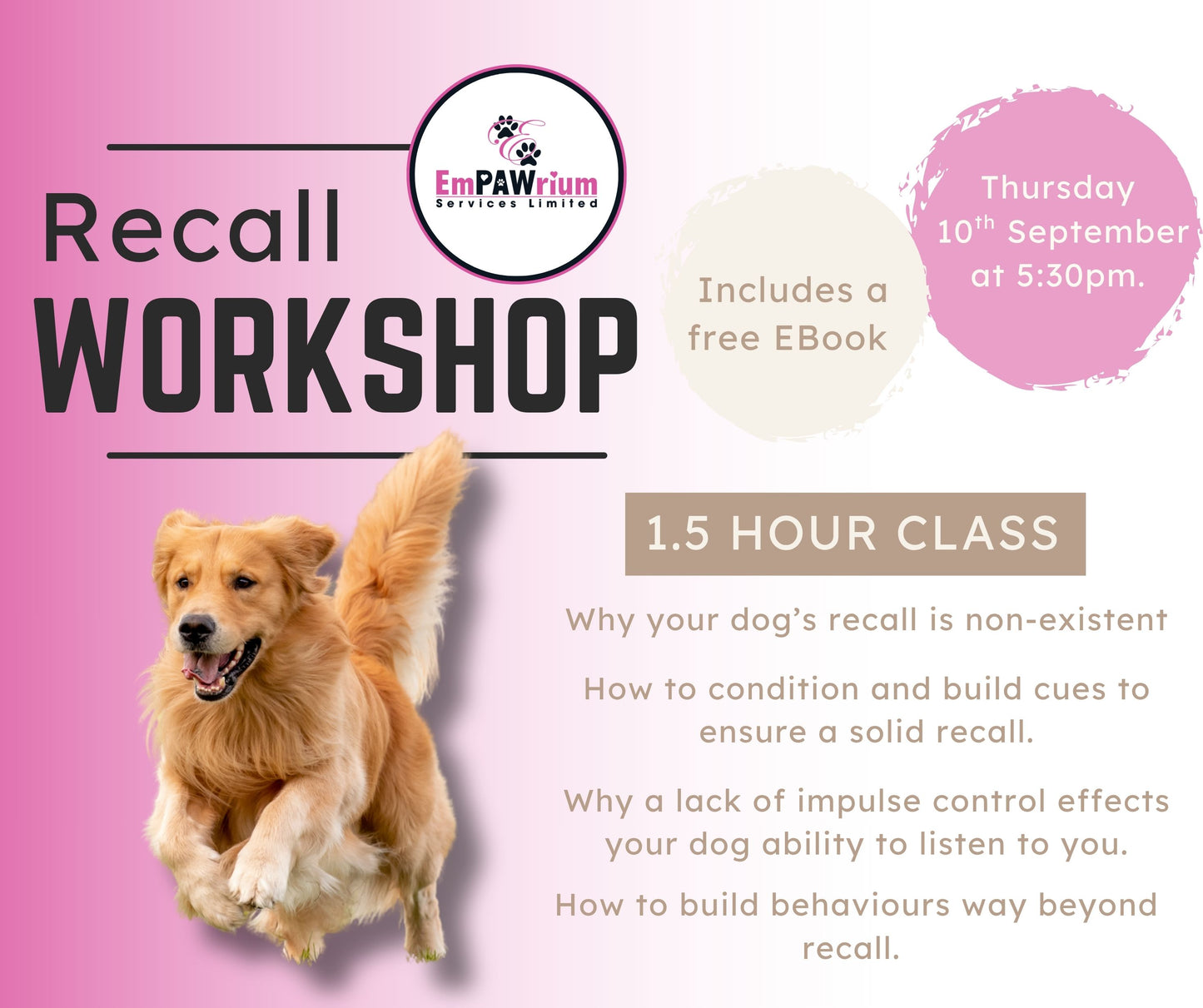 Recall Workshop