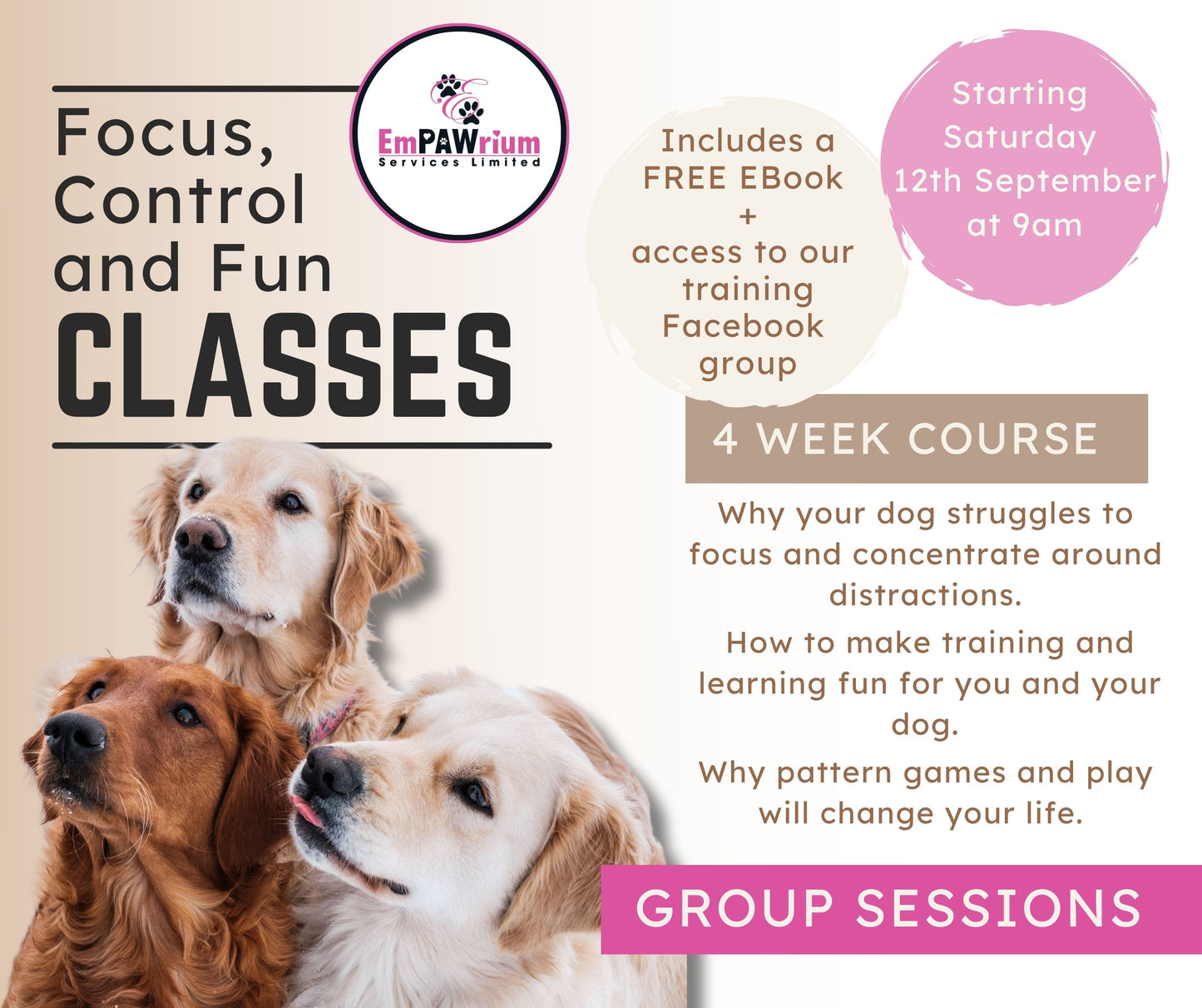 Focus, Control and Fun (4 week course)
