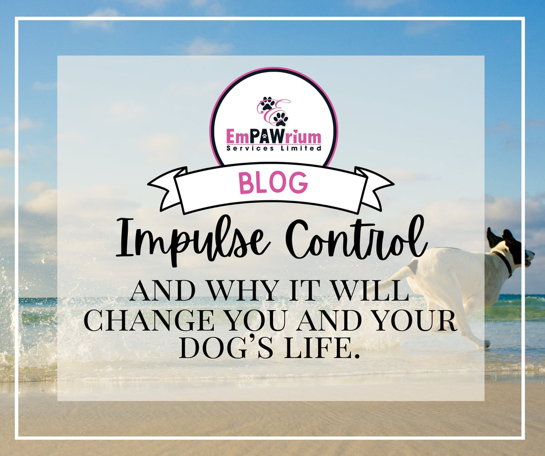 Impulse Control - And Why It Will Change You And Your Dog’s Life