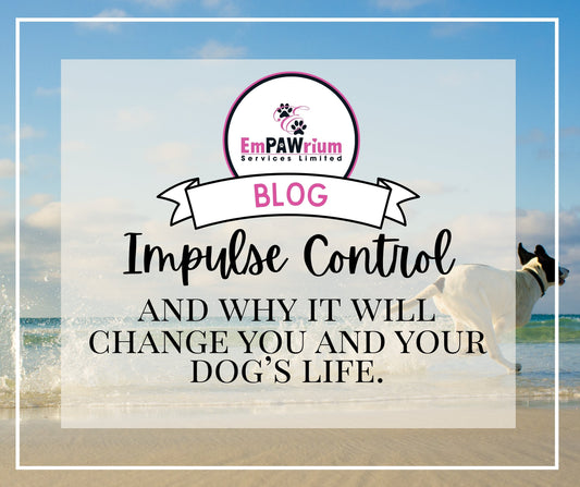 Impulse Control - And Why It Will Change You And Your Dog’s Life
