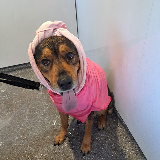 Bath & Dry