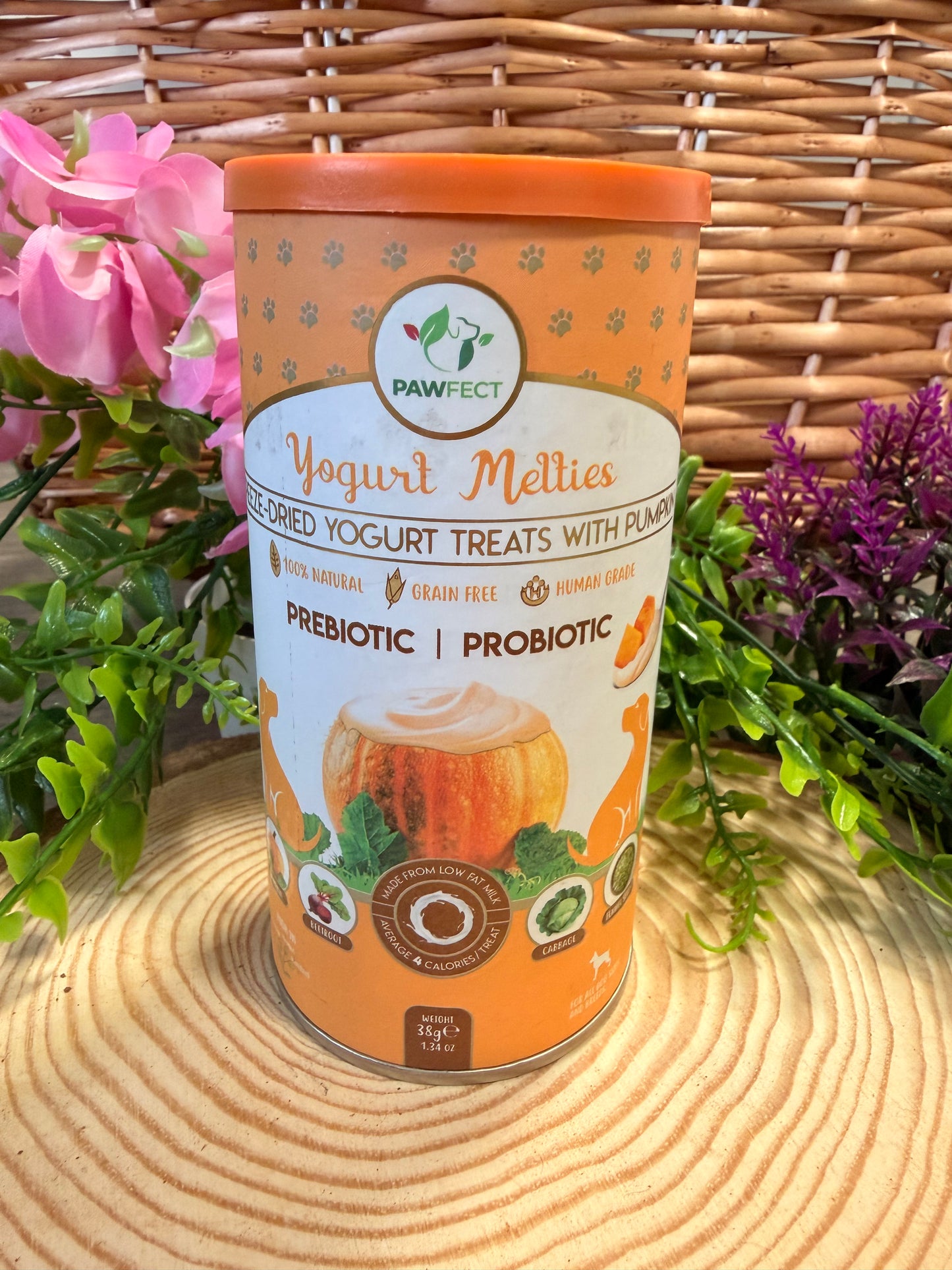 Freeze Dried Yogurt treats with Pumpkin