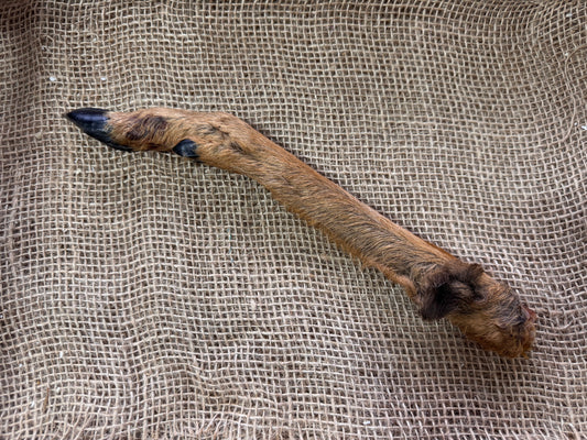 Naturals Hairy Roe Deer Leg