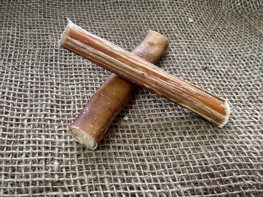 Bully Pizzle Sticks