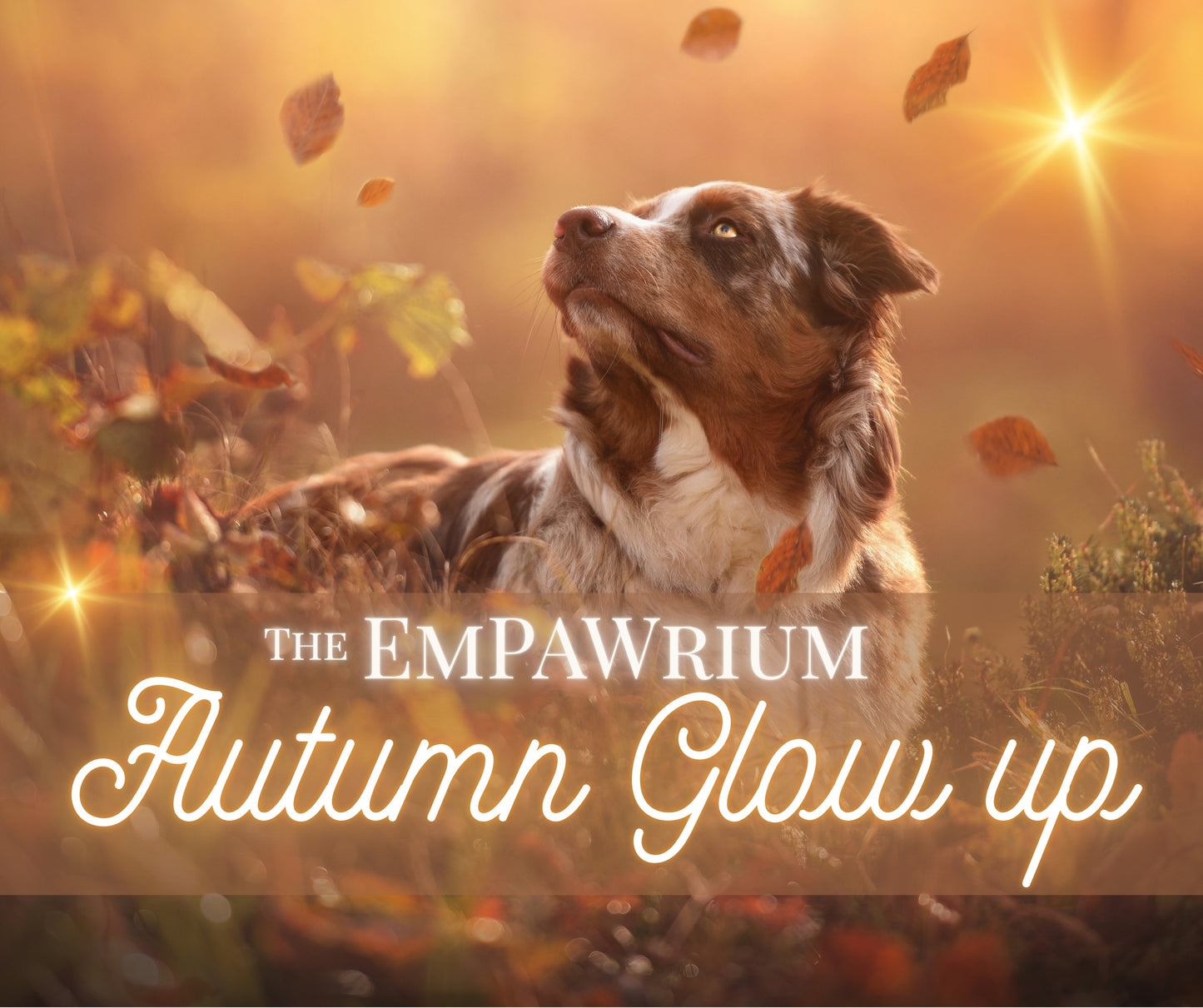 Autum Glow Up
