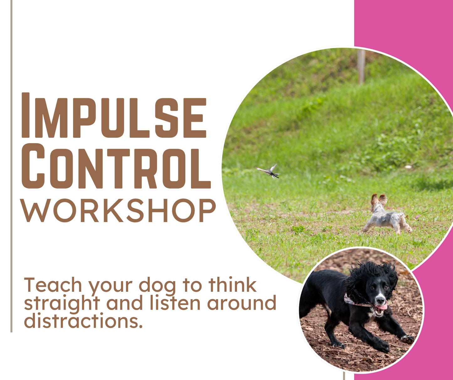 Impulse Control Workshop