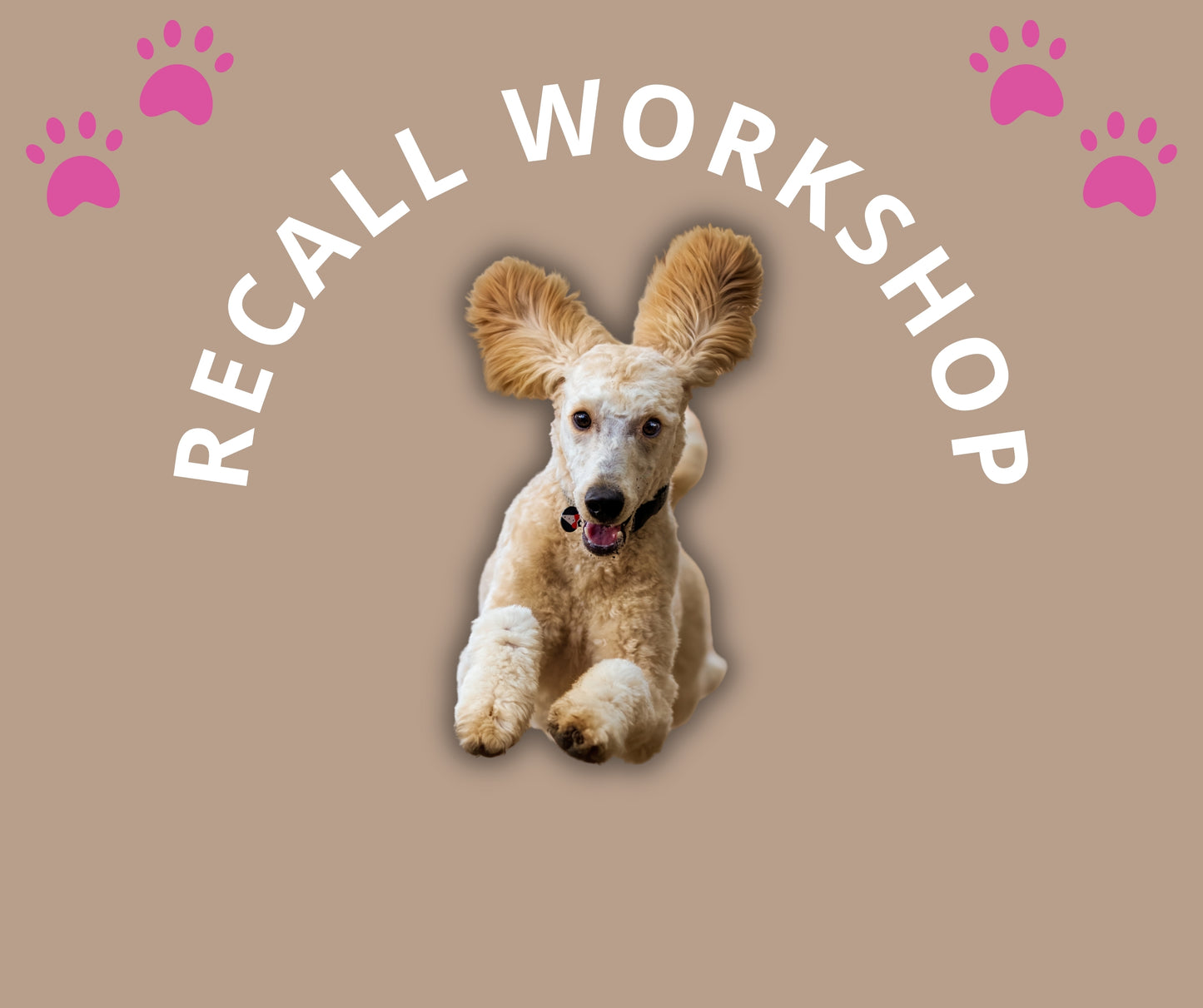 Recall Workshop