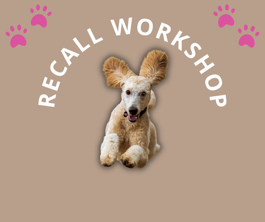 Recall Workshop