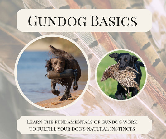 Gundog Basics