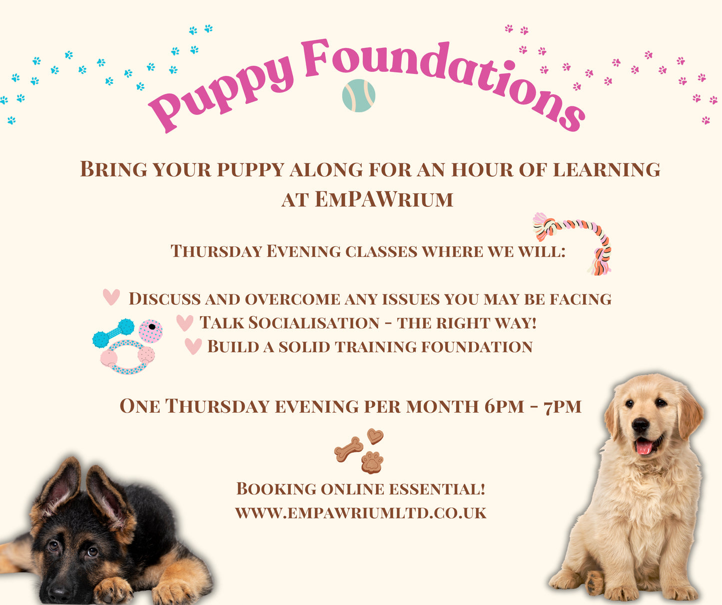 Puppy Foundations