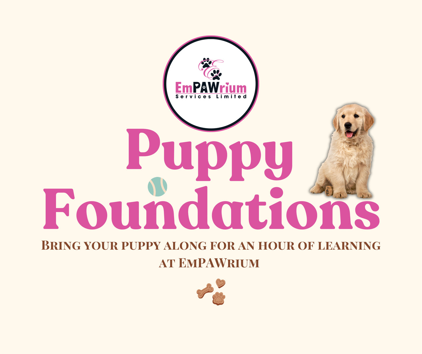 Puppy Foundations
