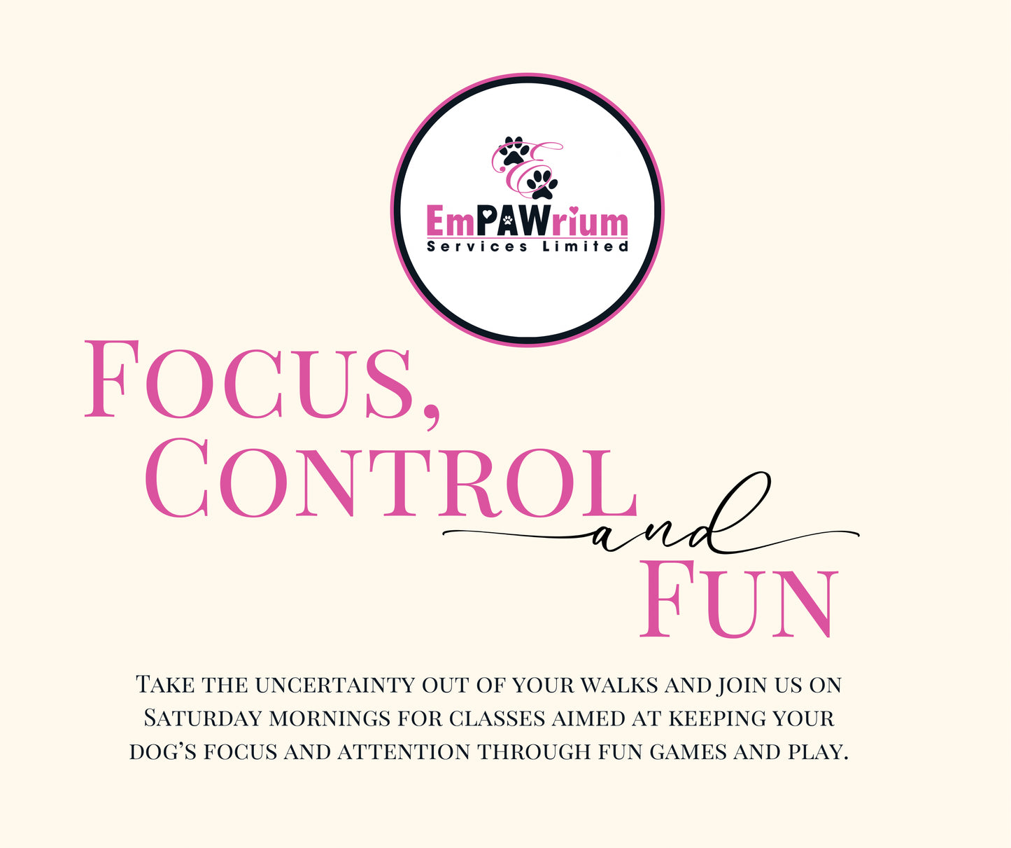 Focus, Control and Fun
