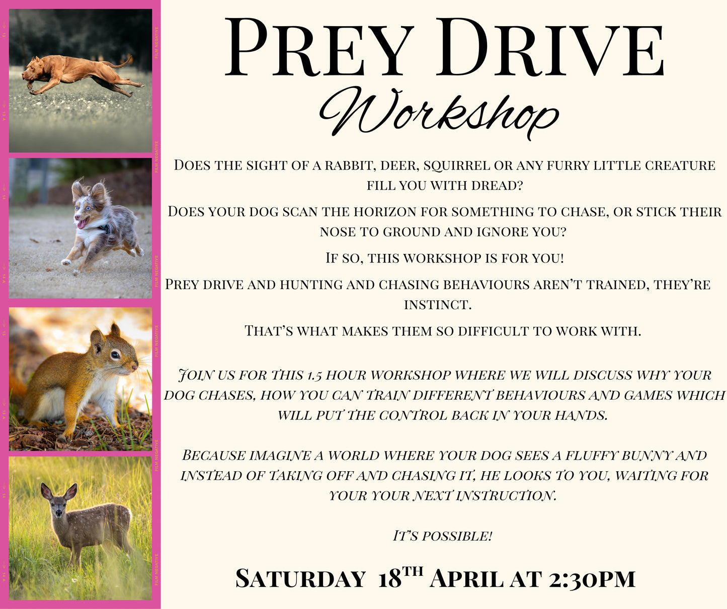 Prey Drive Workshop