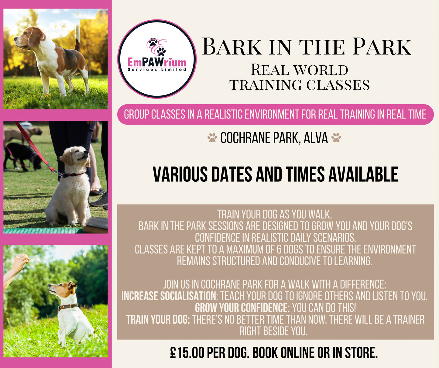 Bark in the Park (Group Classes)