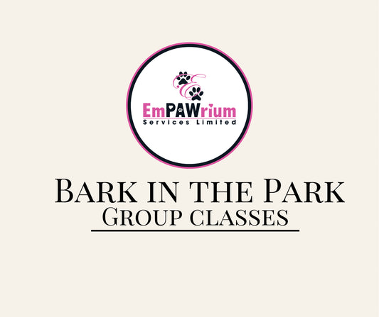 Bark in the Park (Group Classes)