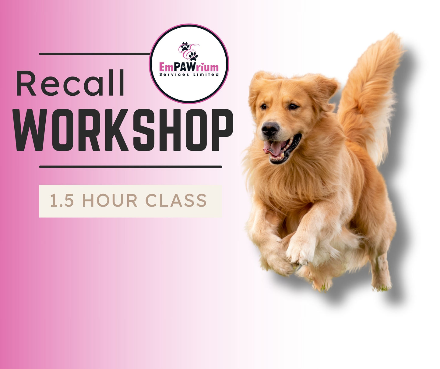 Recall Workshop