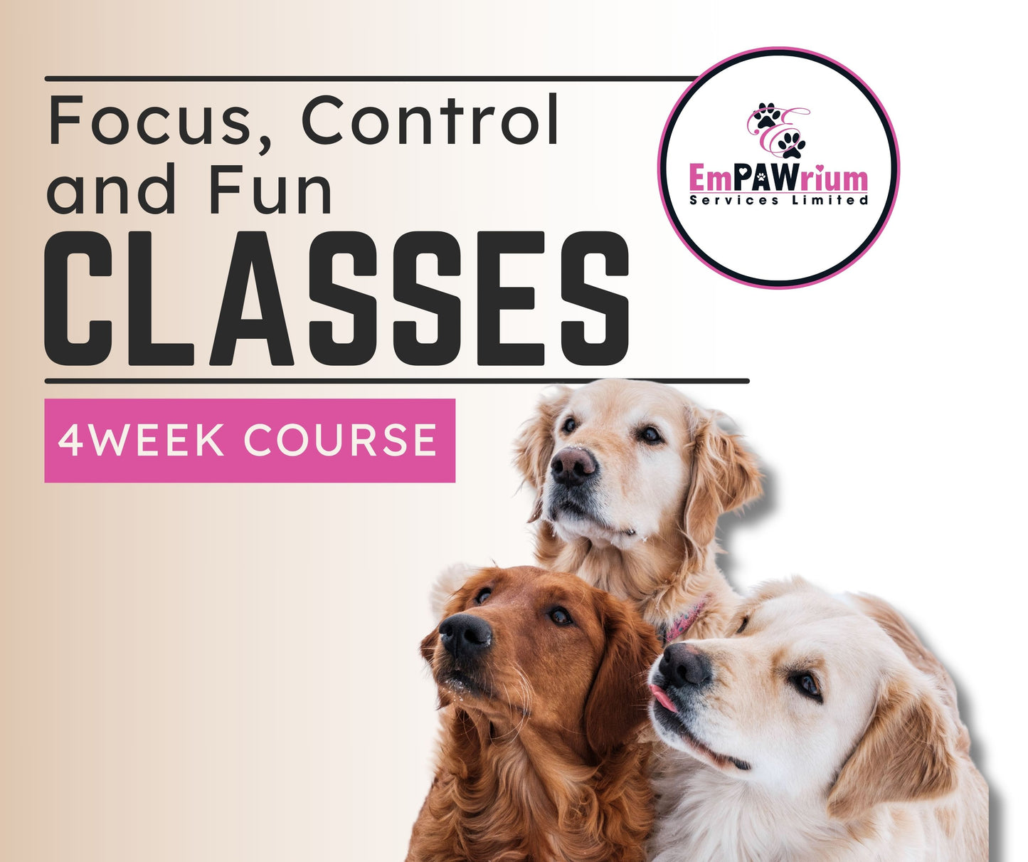 Focus, Control and Fun (4 week course)