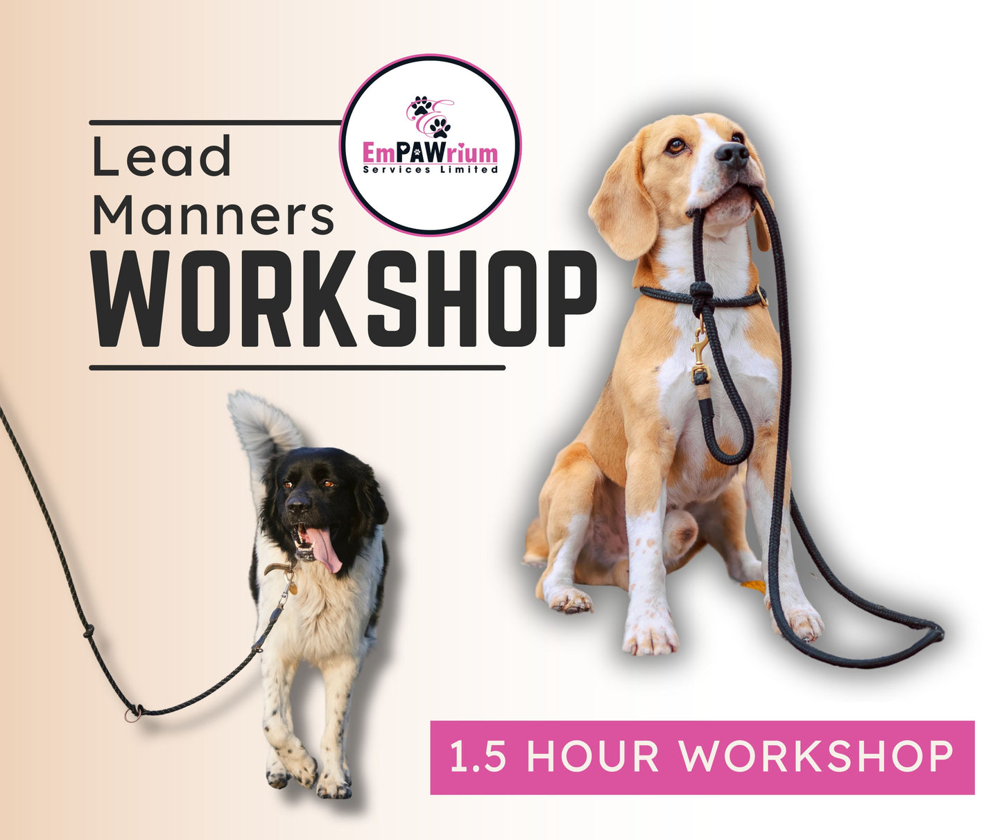 Lead Manners Workshop