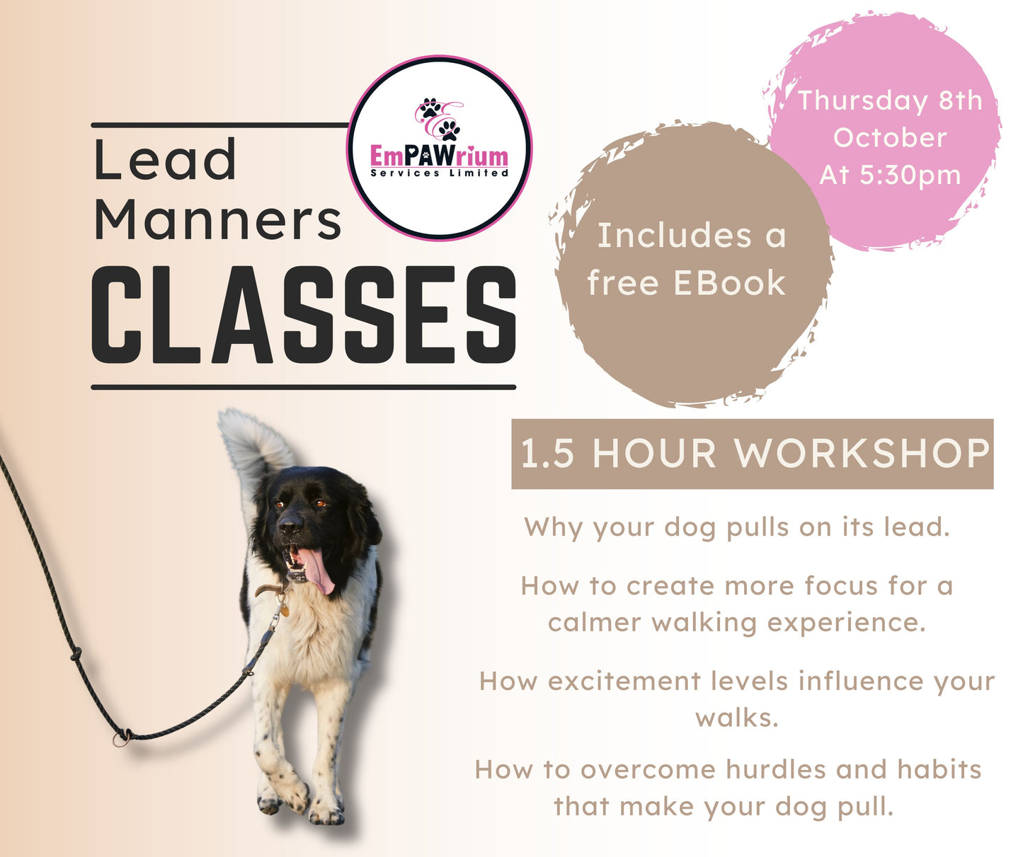 Lead Manners Workshop
