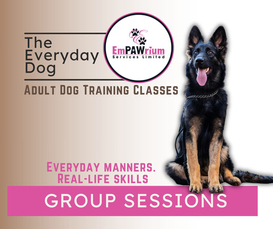 The Everyday Dog - Adult Training Classes